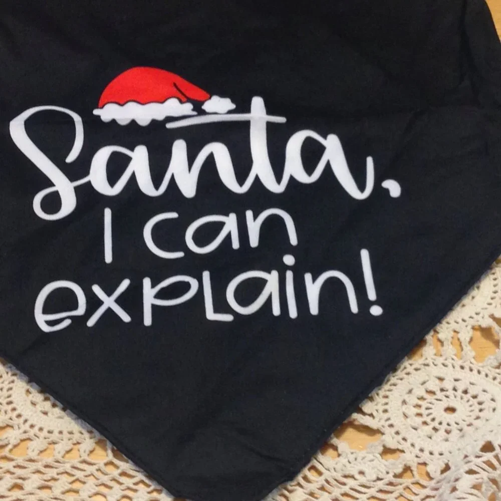 Dog Bandana for Christmas, Santa, I can explain!